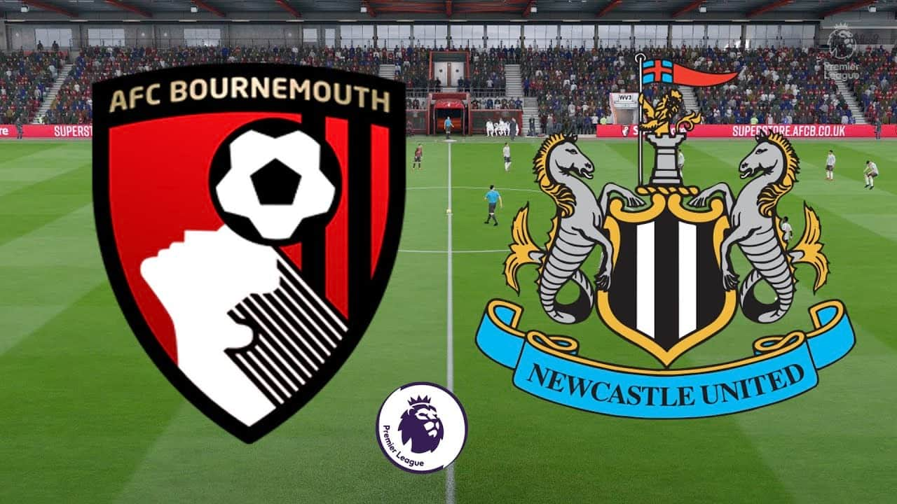The AFC Bournemouth vs Newcastle United Standings Story 